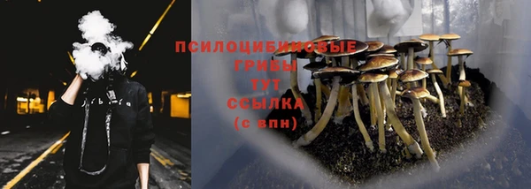 гидропоника Богданович