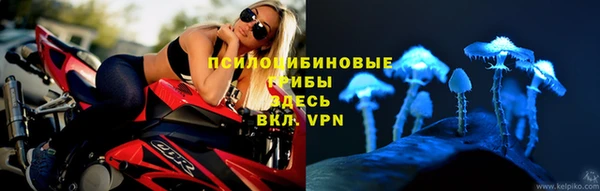 гидропоника Богданович